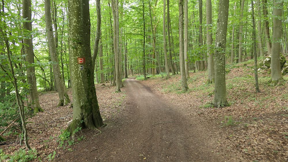 Westerwaldvariante