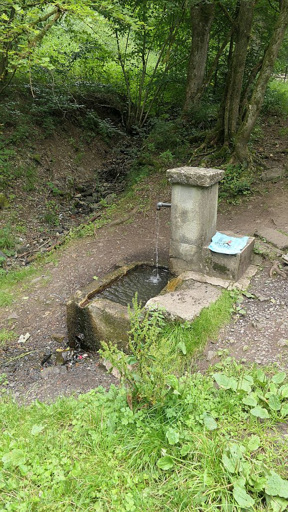 Westerwaldvariante