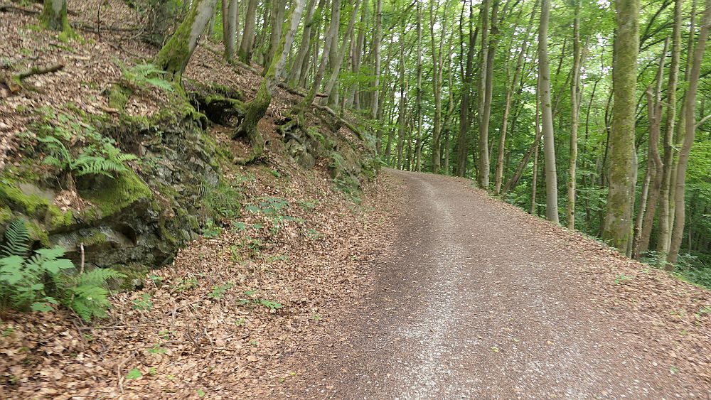 Westerwaldvariante