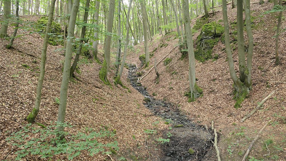 Westerwaldvariante