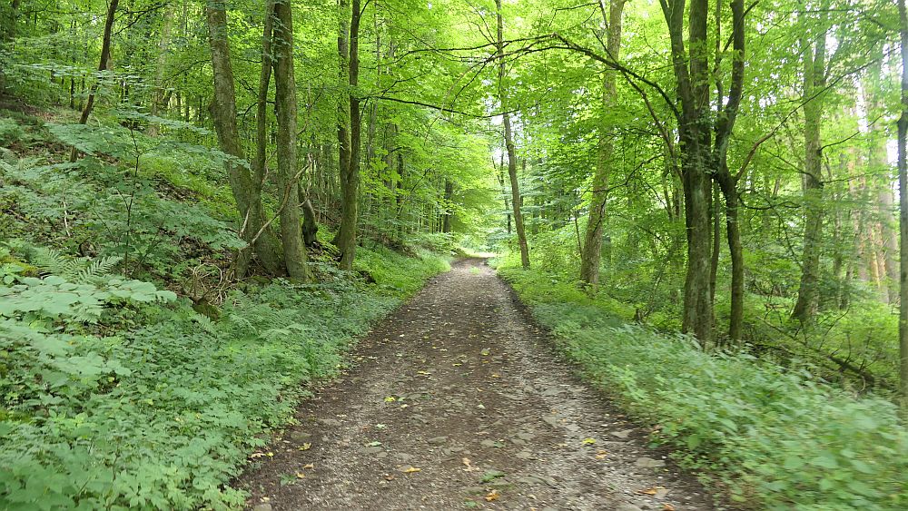 Westerwaldvariante