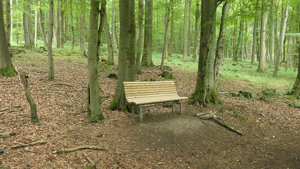Westerwaldvariante