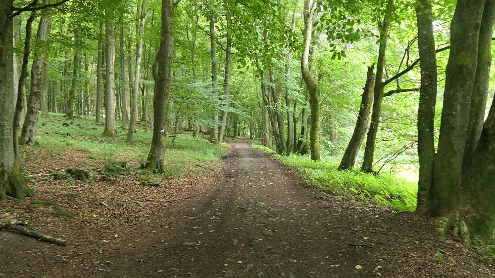 Westerwaldvariante