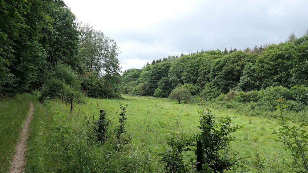 Westerwaldvariante