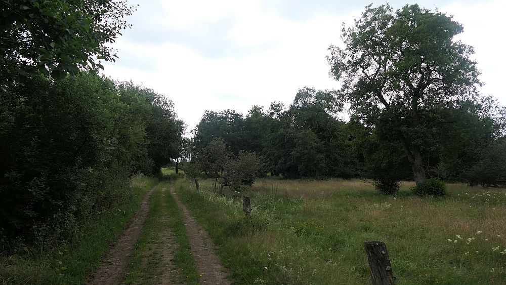 Westerwaldvariante