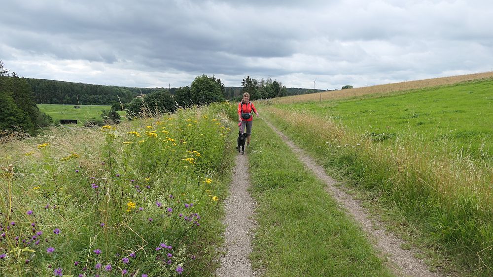 Westerwaldvariante