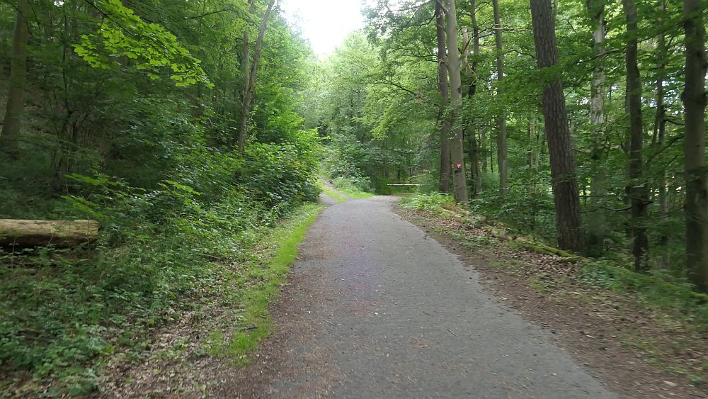 Westerwaldvariante