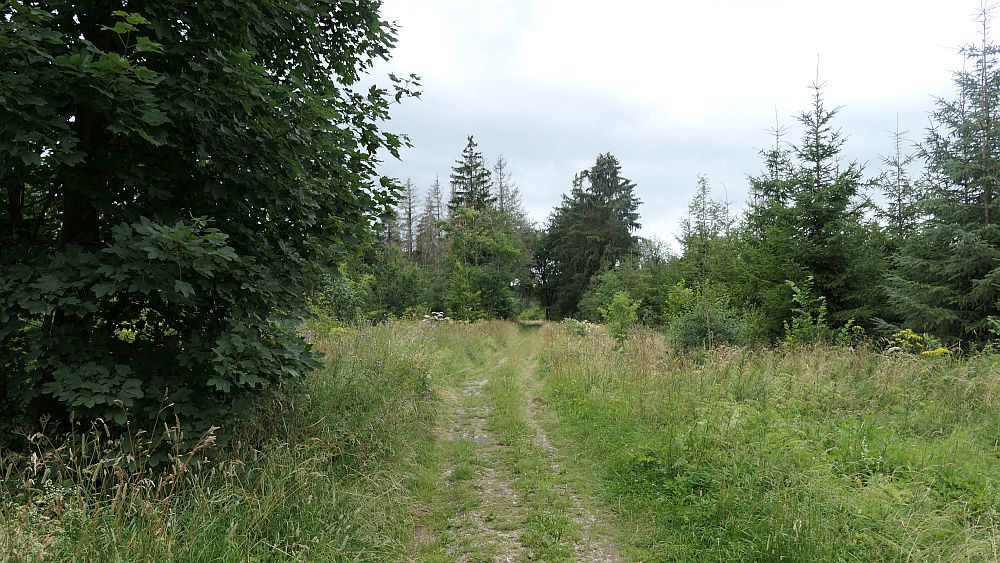 Westerwaldvariante