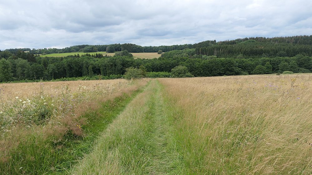 Westerwaldvariante