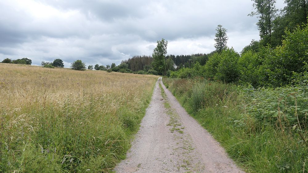 Westerwaldvariante
