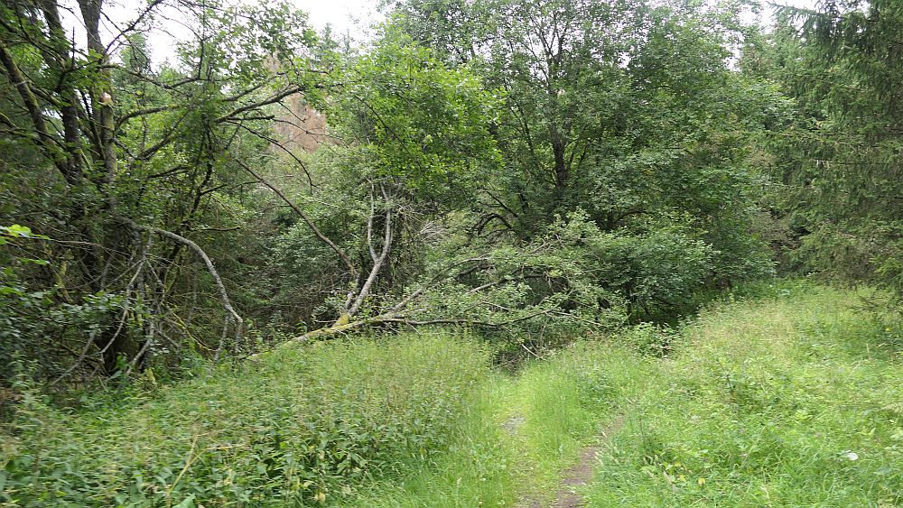 Westerwaldvariante