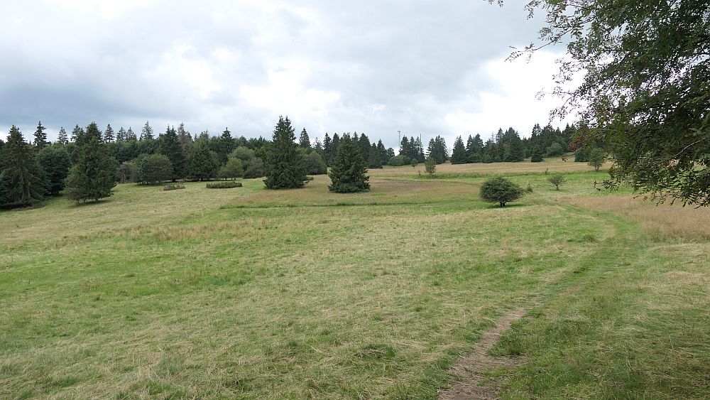 Westerwaldvariante