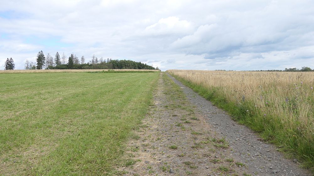Westerwaldvariante