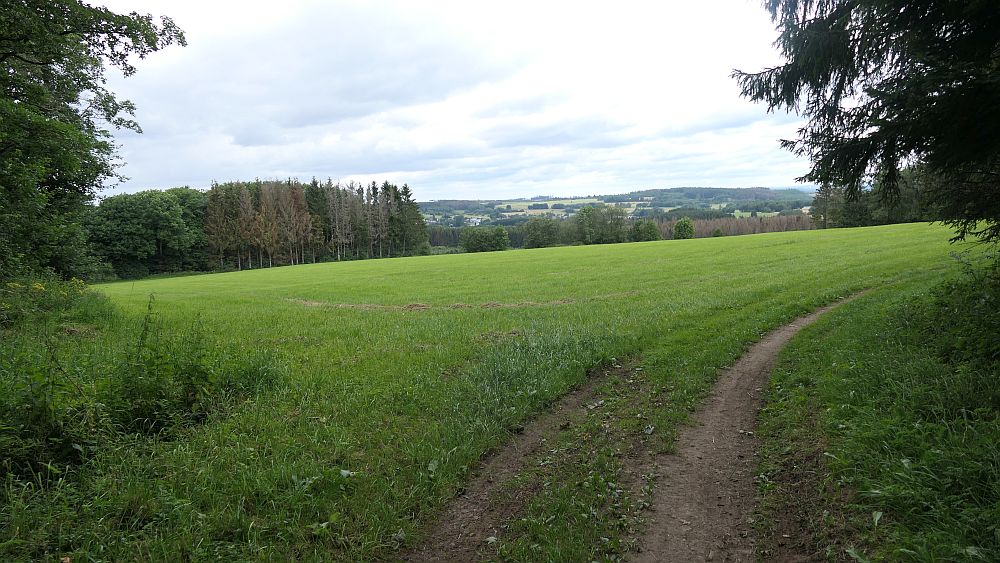 Westerwaldvariante