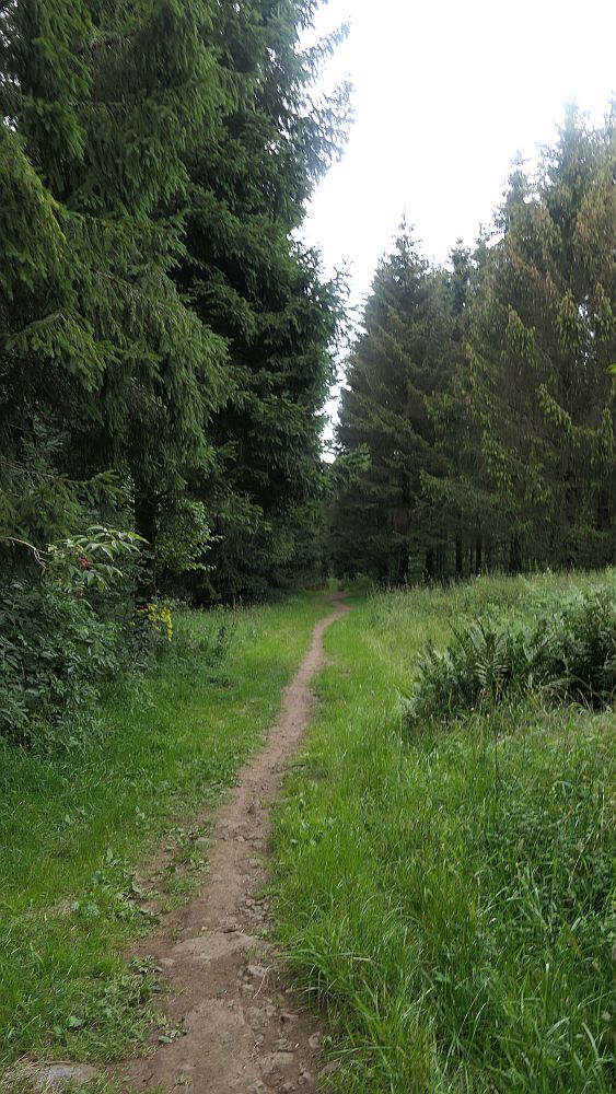 Westerwaldvariante