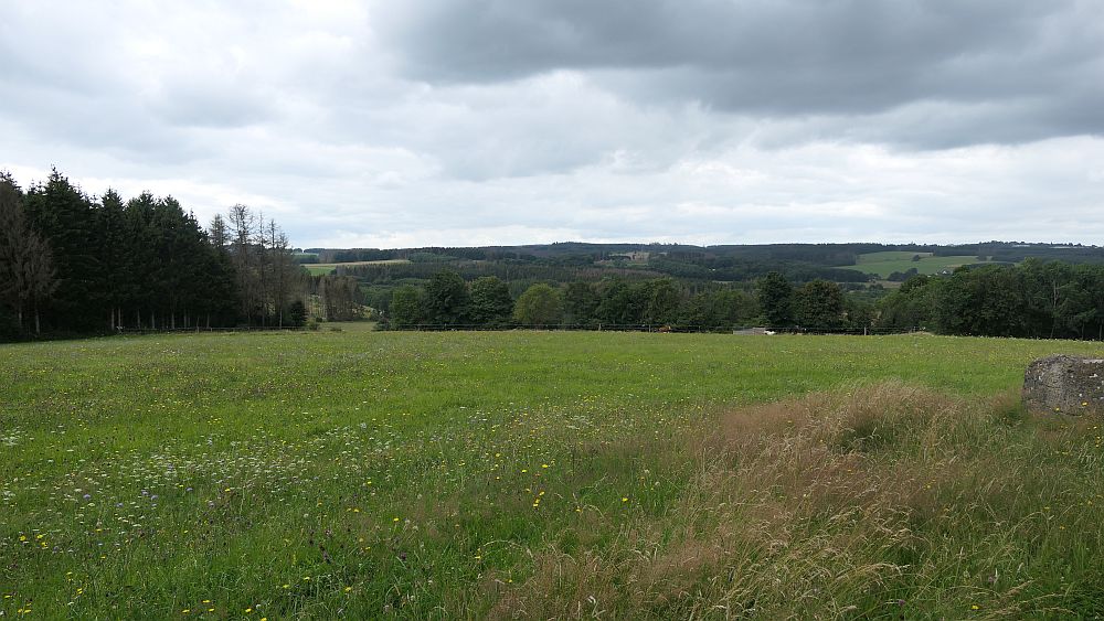 Westerwaldvariante