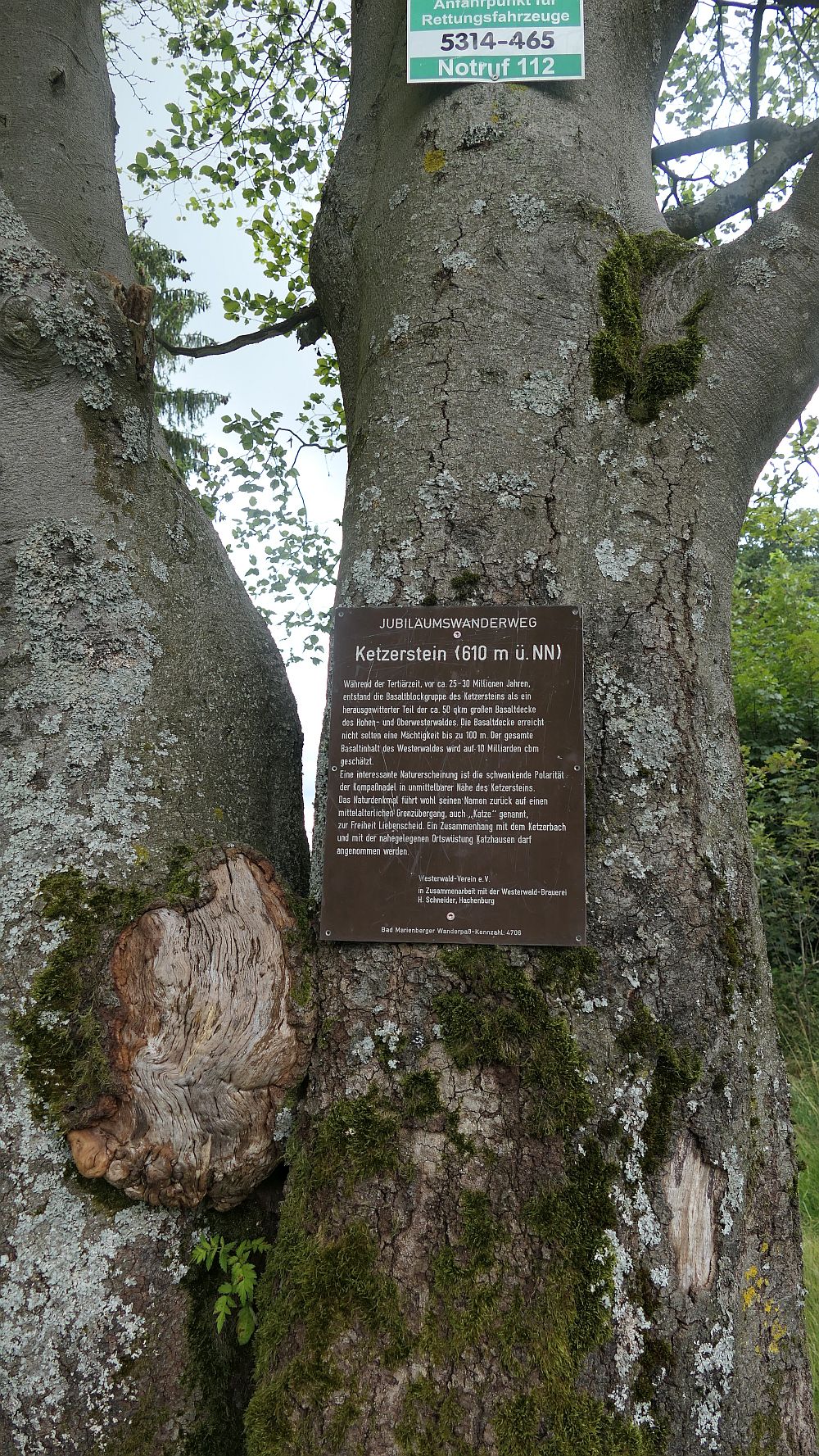 Westerwaldvariante