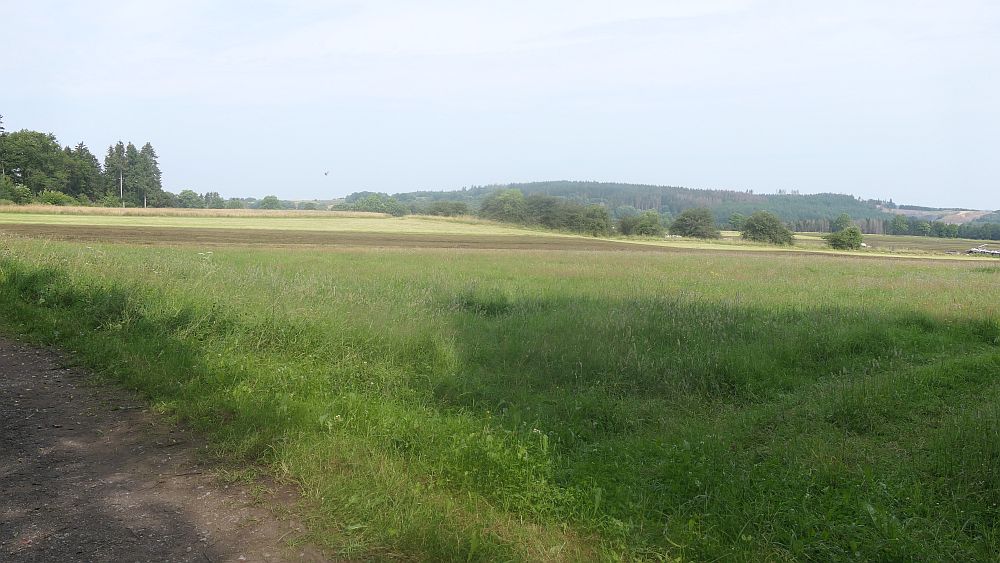 Westerwaldvariante