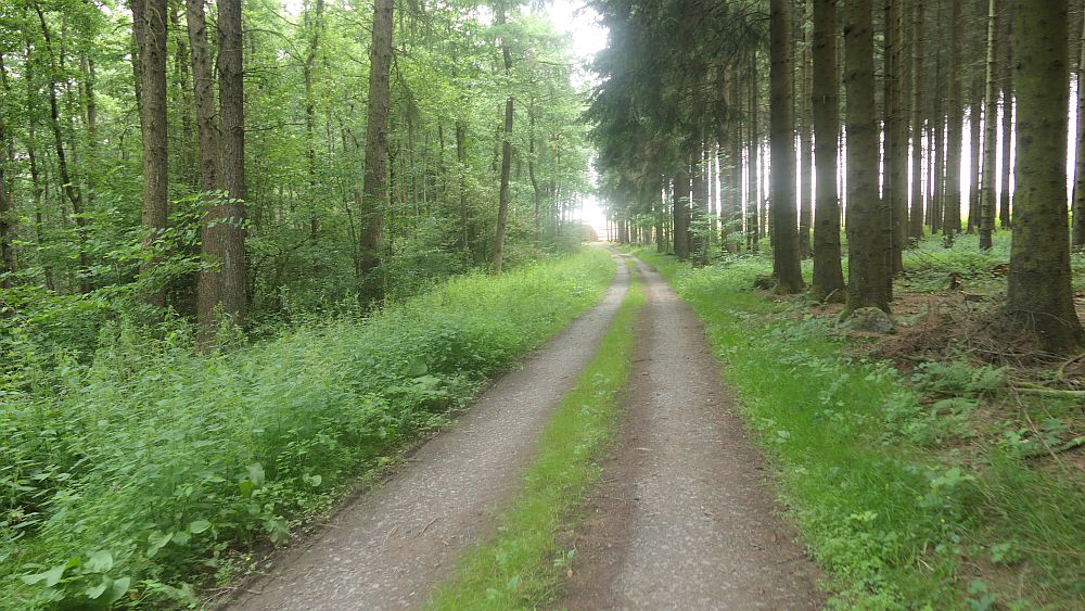 Westerwaldvariante