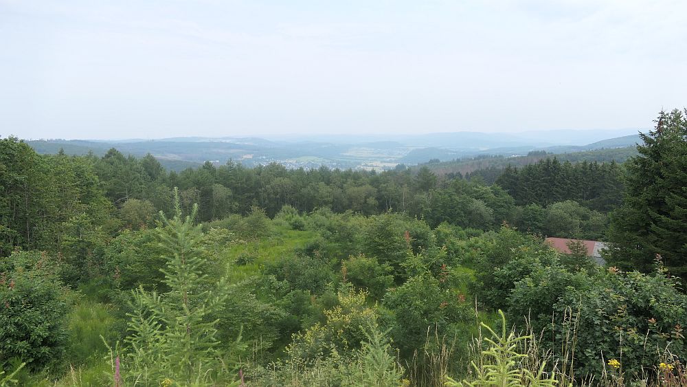 Westerwaldvariante