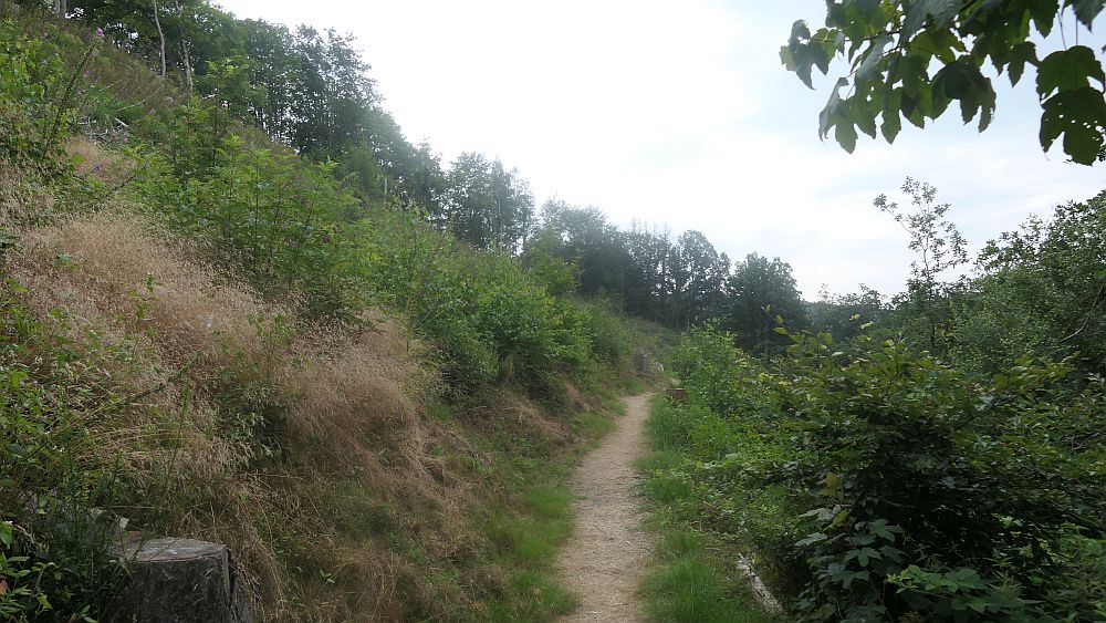 Westerwaldvariante
