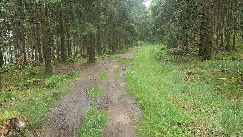 Westerwaldvariante