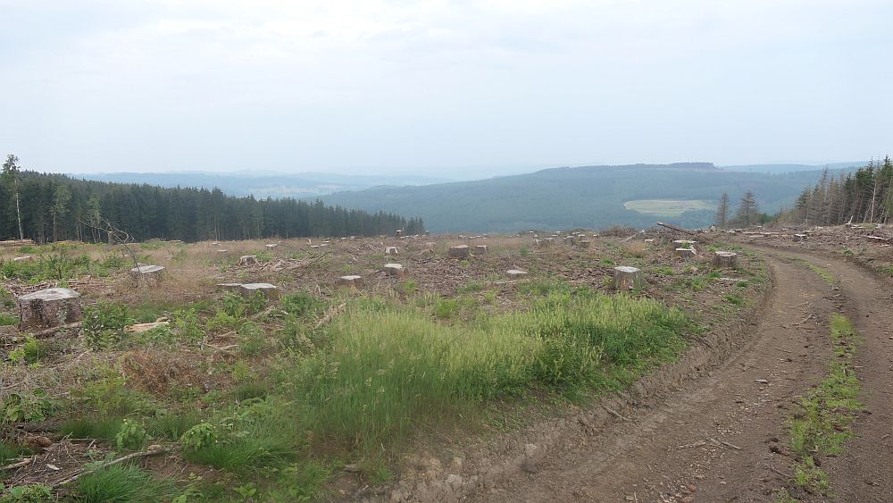 Westerwaldvariante