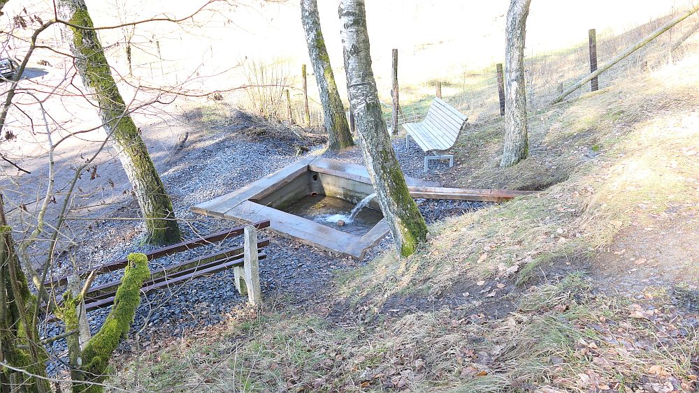 Wisentpfad