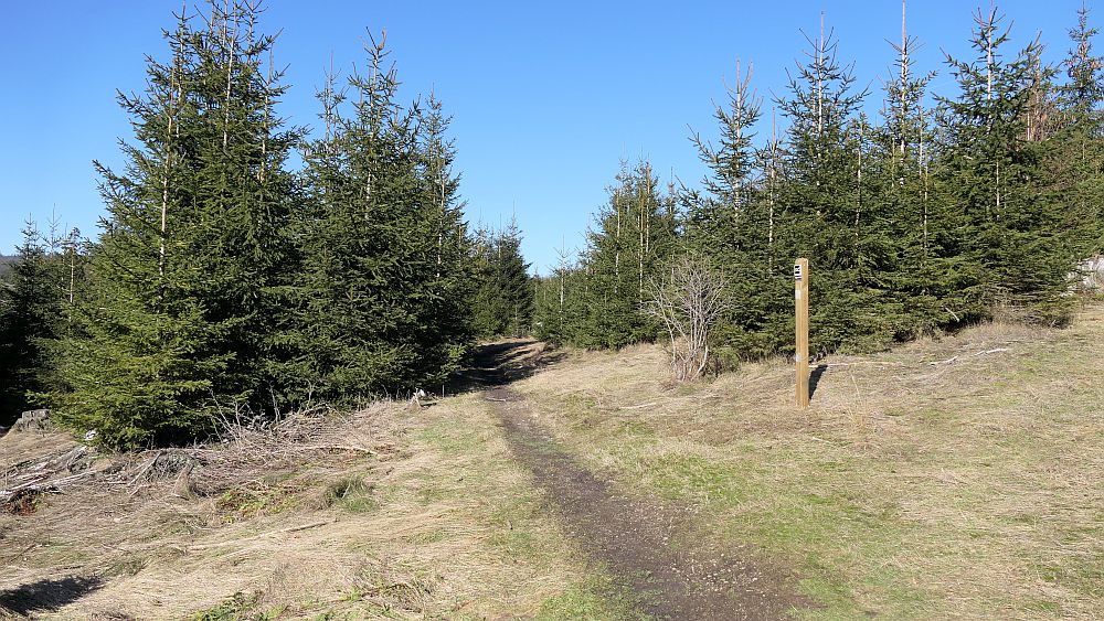 Wisentpfad