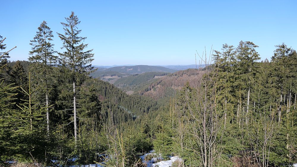 Wisentpfad