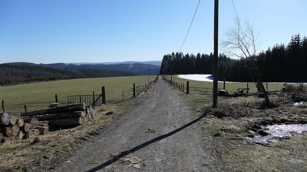 Wisentpfad