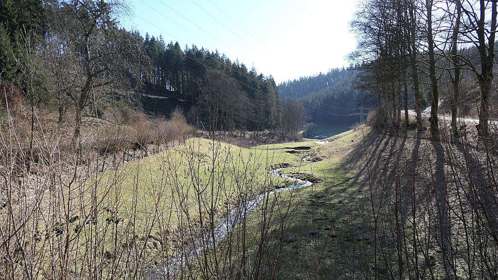 Wisentpfad