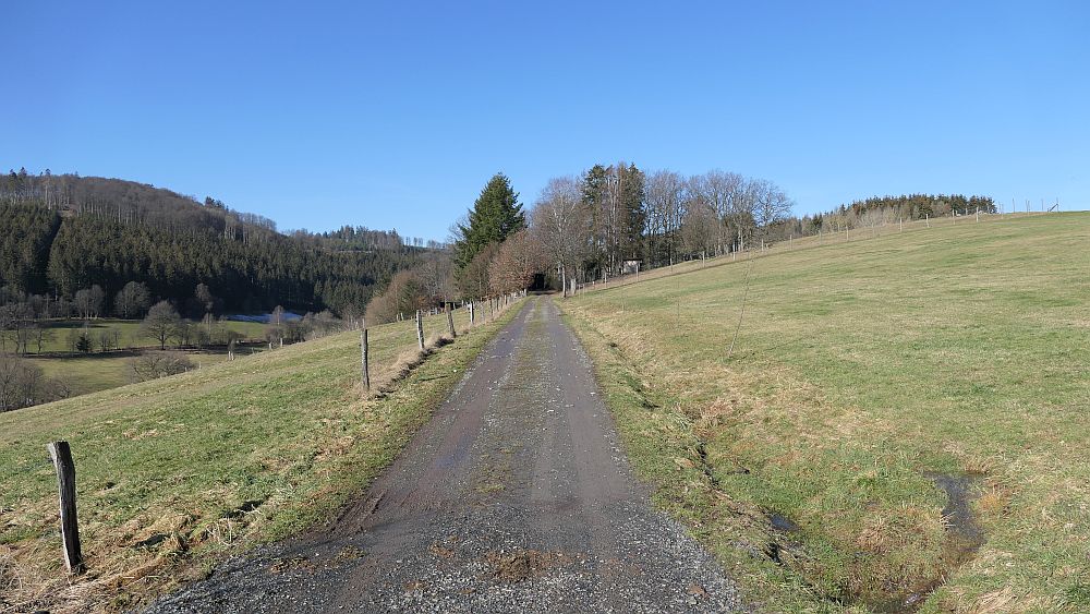 Wisentpfad