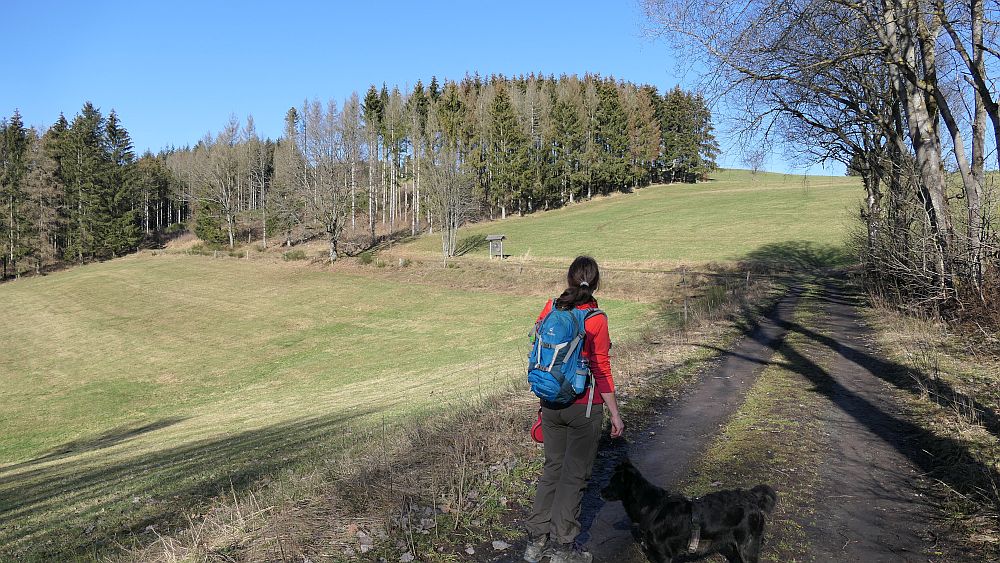 Wisentpfad