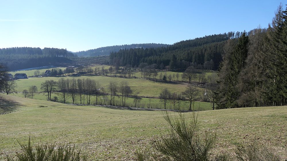 Wisentpfad