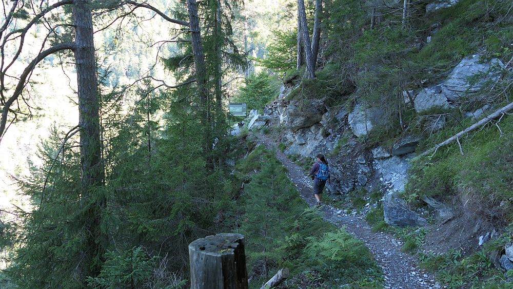 Ruinaulta Ruine Wackenau