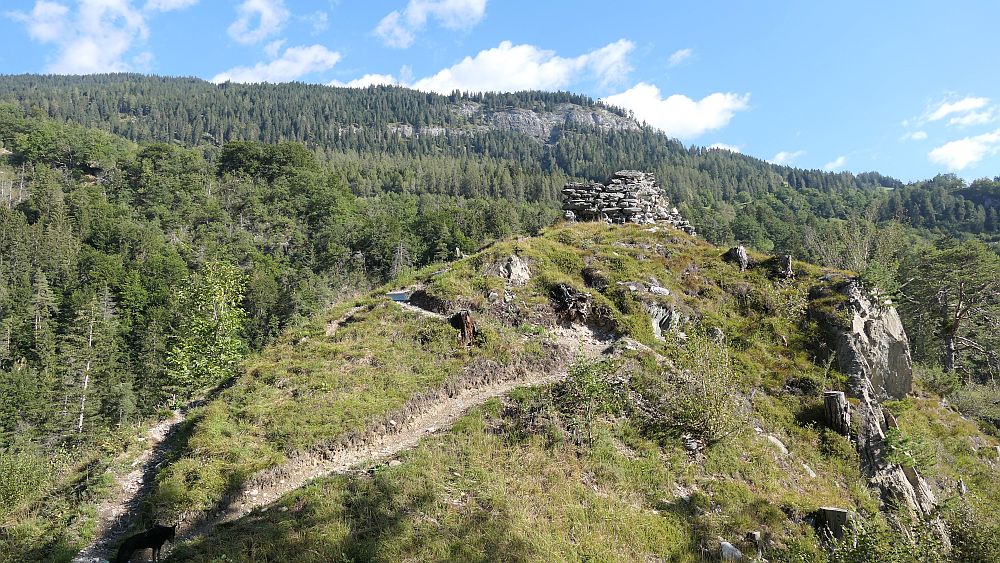Ruinaulta Ruine Wackenau