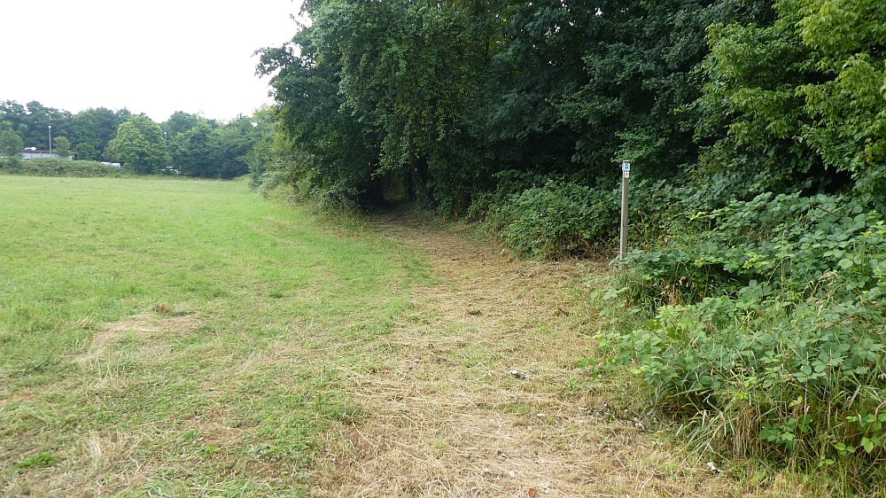 Saar Hunsrueck Steig