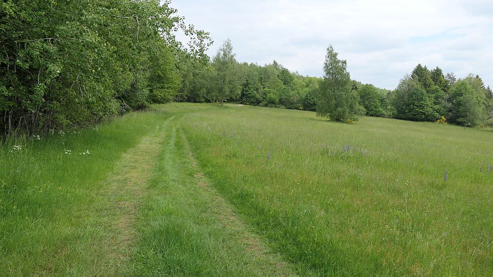 Saar Hunsrueck Steig