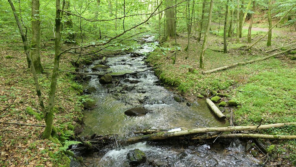 Saar Hunsrueck Steig