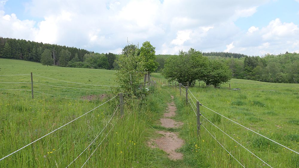 Saar Hunsrueck Steig
