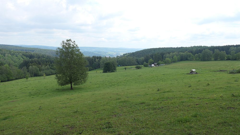 Saar Hunsrueck Steig