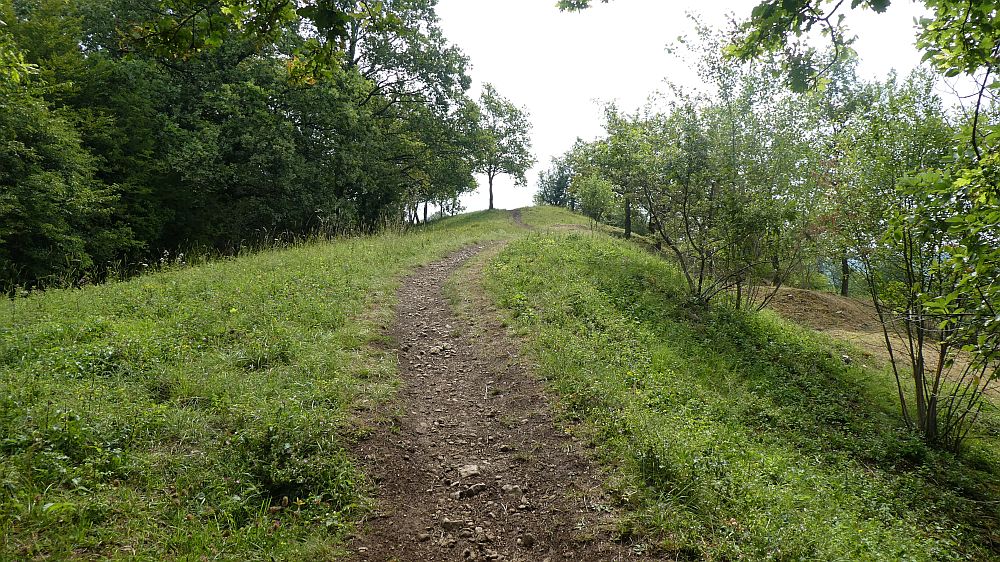 Saar Hunsrueck Steig