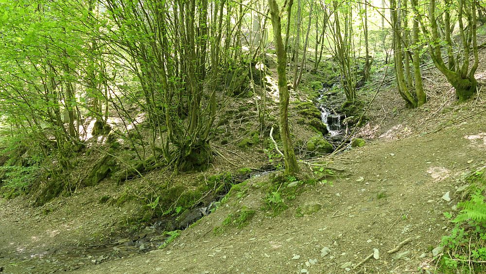 Saar Hunsrueck Steig