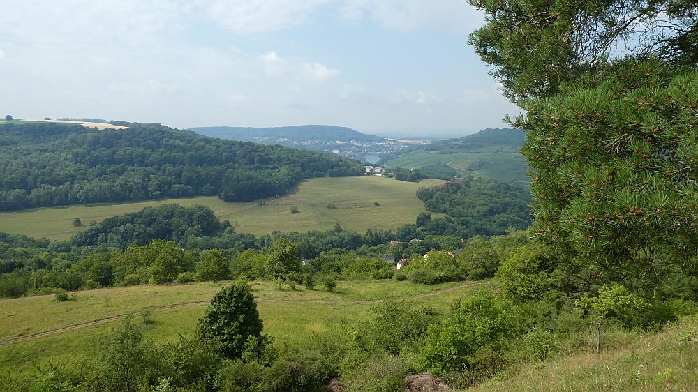 Saar Hunsrueck Steig