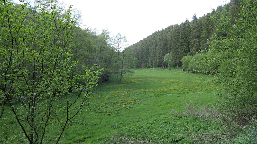Saar Hunsrueck Steig