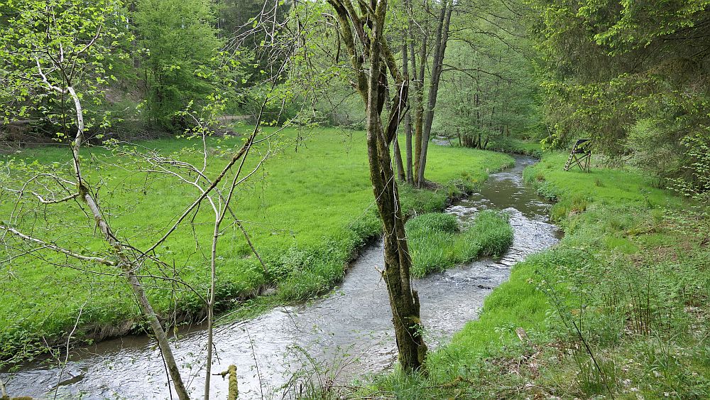 Saar Hunsrueck Steig