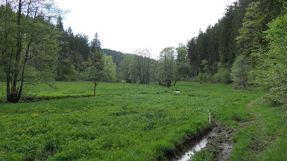 Saar Hunsrueck Steig