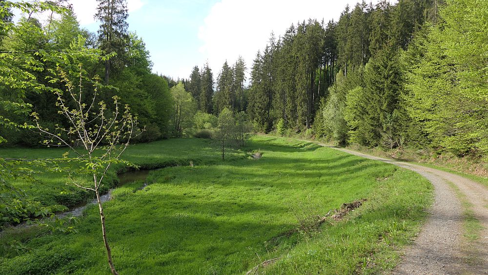 Saar Hunsrueck Steig