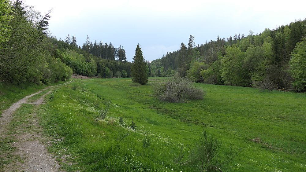 Saar Hunsrueck Steig